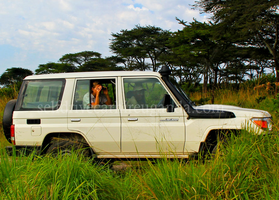 toyota-land-cruiser-hardtop